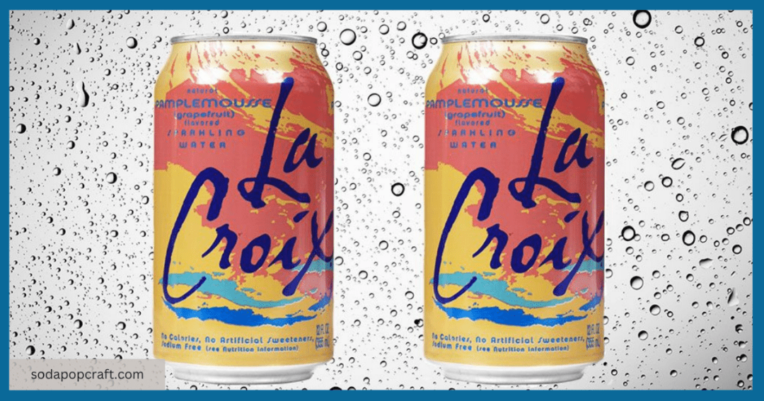 Which Sparkling Water Is The Best In SodaStream Vs LaCroix?