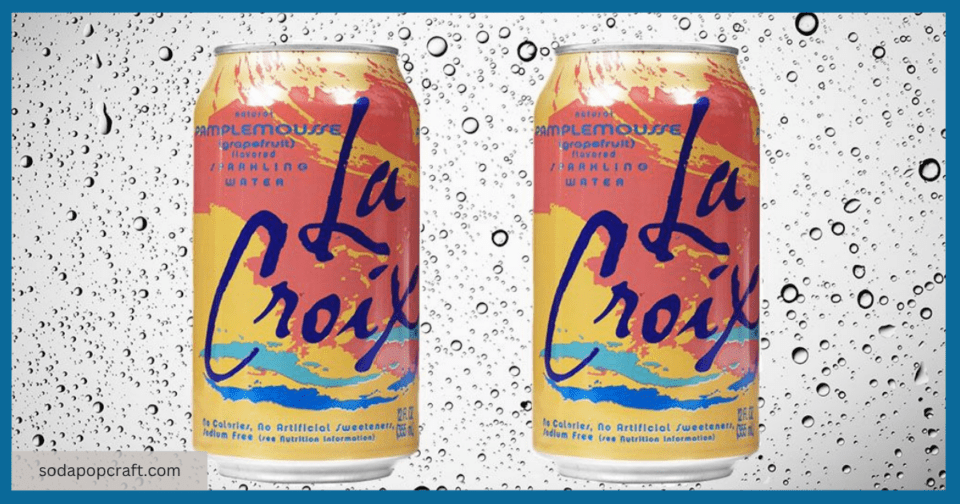 Which Sparkling Water Is The Best In SodaStream Vs LaCroix?