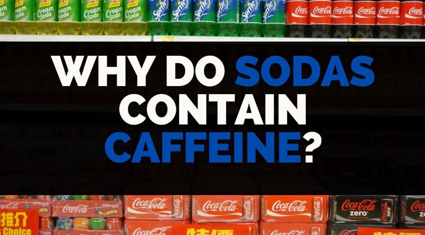 why-does-soda-have-caffeine-where-does-it-come-from