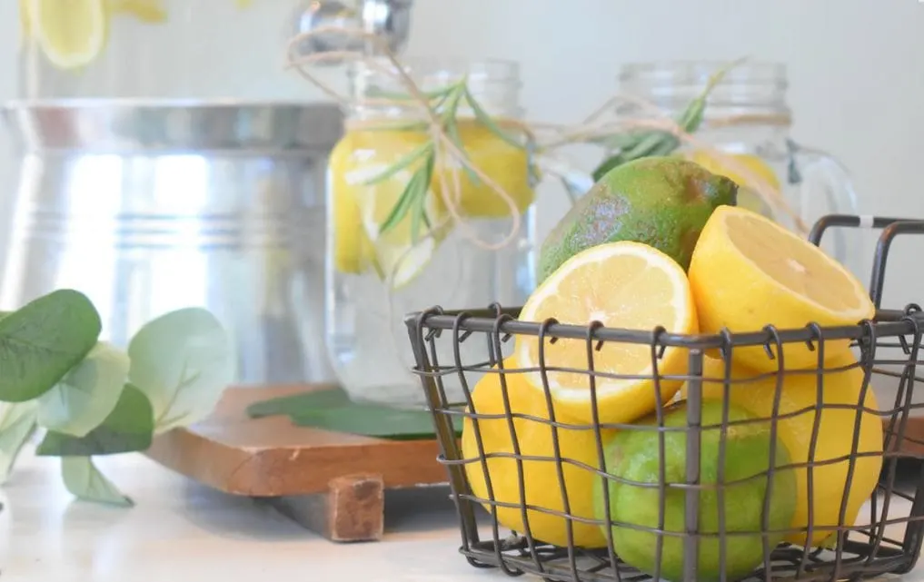What Is Cordial and What Is Squash