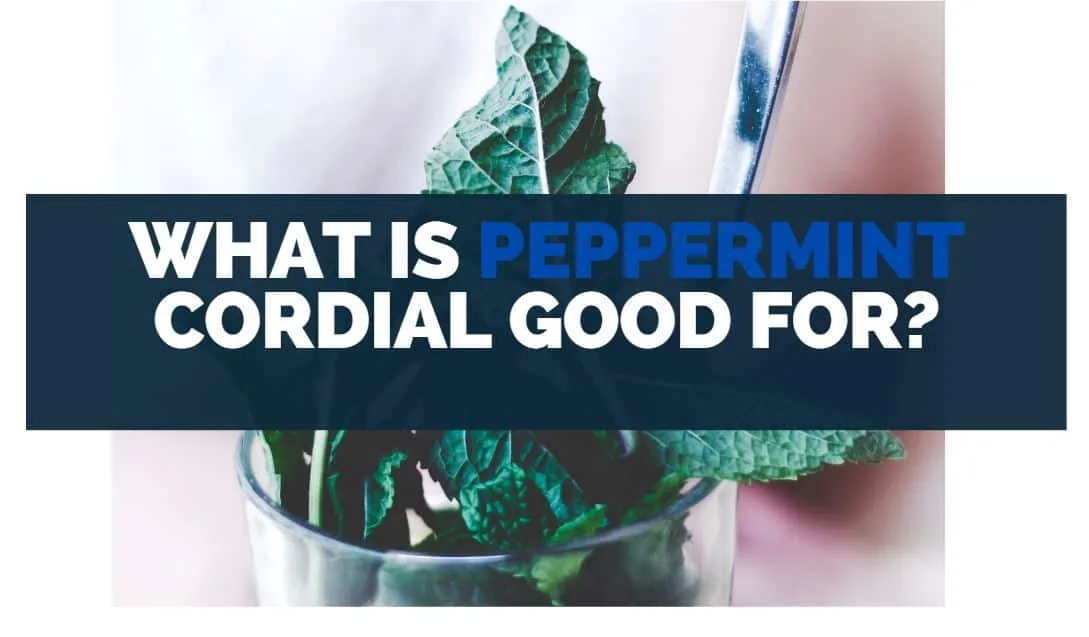 What Is Peppermint Cordial Good For?