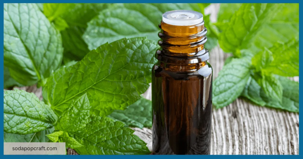 What Is Peppermint Cordial Good For?