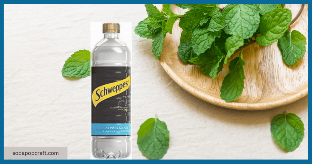 schweppes peppermint cordial