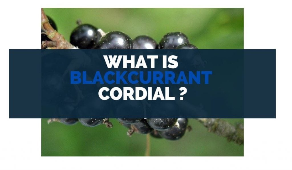 what is blackcurrant cordial