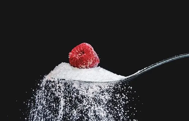 How Much Sugar is in a Bottle of Shloer
