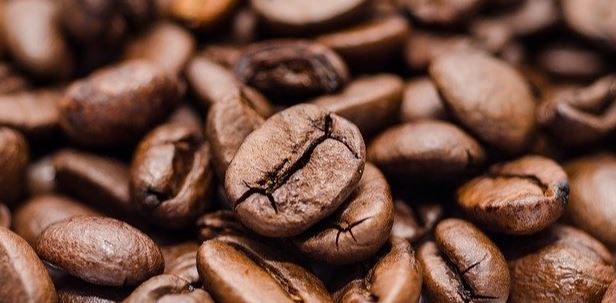 Is there Caffeine in Shloer