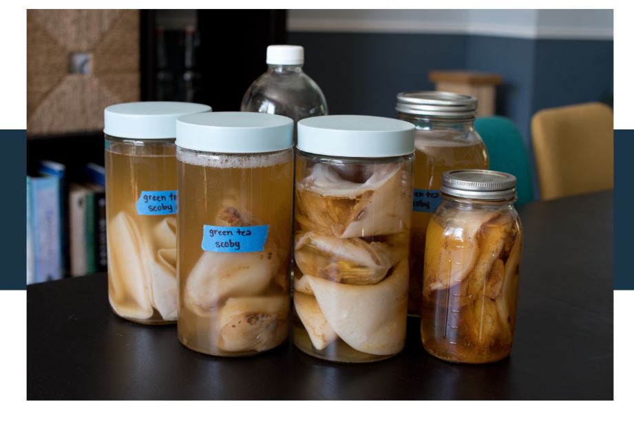 Is Kombucha high in probiotics
