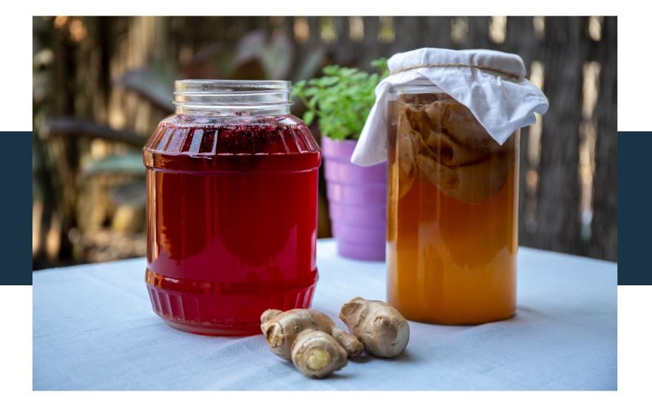 Maintaining A Sleep Routine with Kombucha