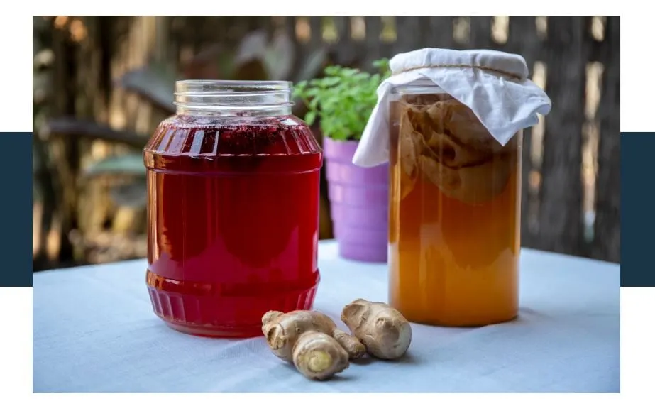 Maintaining A Sleep Routine with Kombucha
