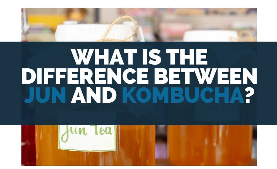 What Is The Difference Between Jun and Kombucha