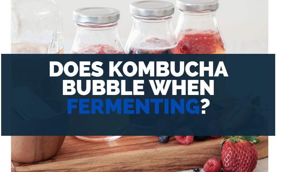 does kombucha bubble when fermenting