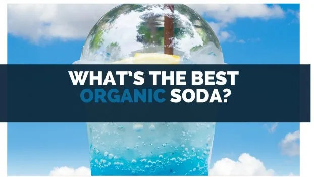 What’s the Best Organic Soda