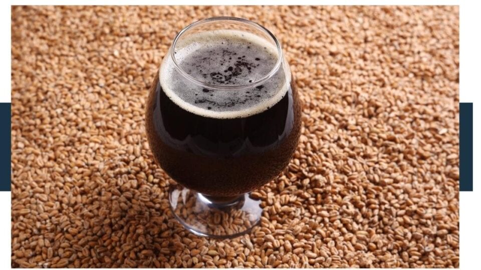 What Is Malta Hatuey? [Soda Vs Beer]