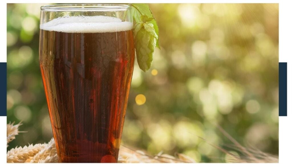 What Is Malta Hatuey? Soda Pop Craft Make Your Own Soft Drinks At Home