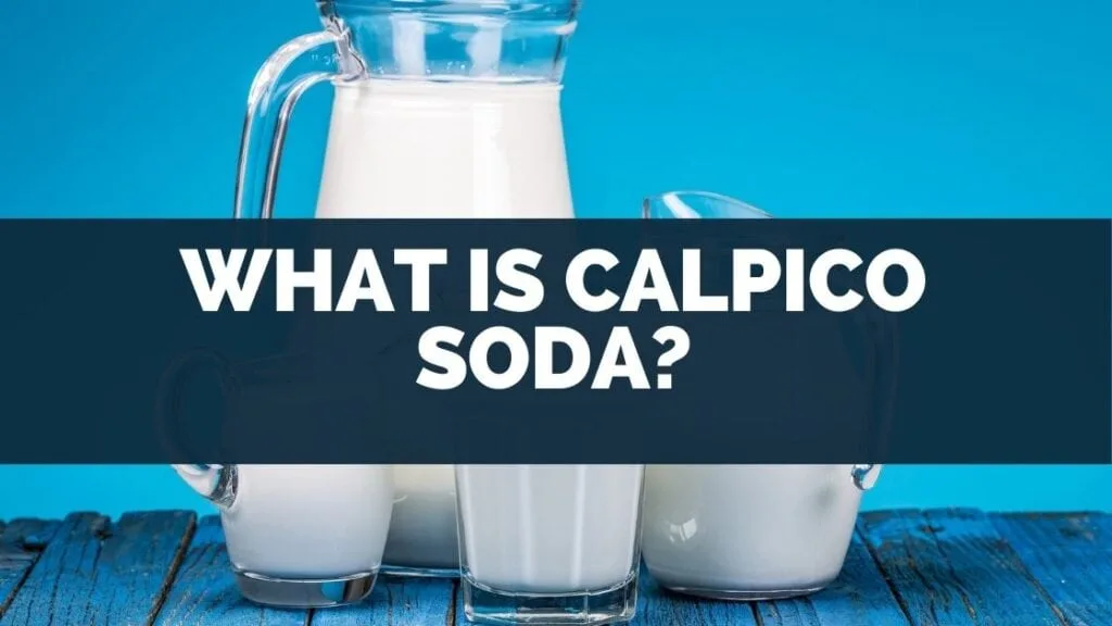 What Is Calpico Soda