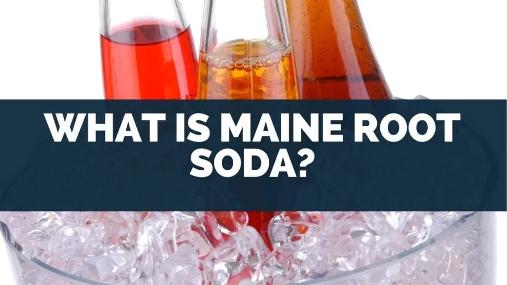 What Is Maine Root Soda