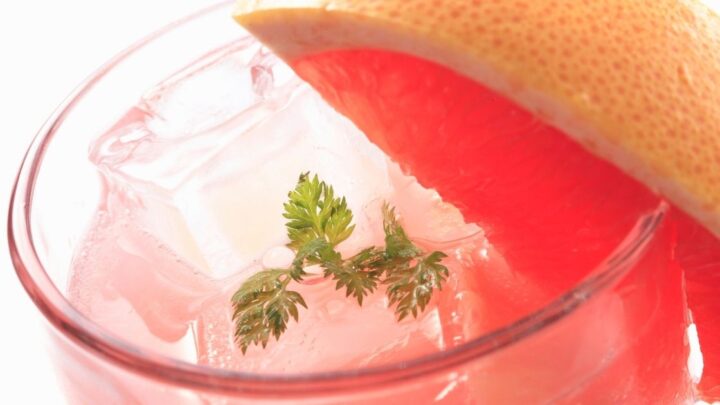 What Is Grapefruit Soda? (fresca!)