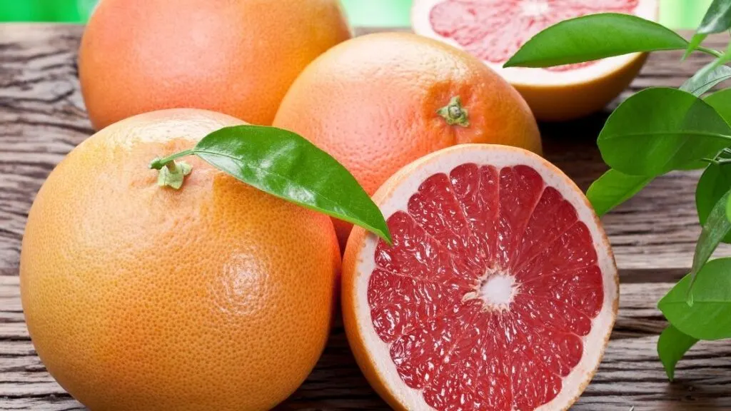 Is Fresca a grapefruit soda