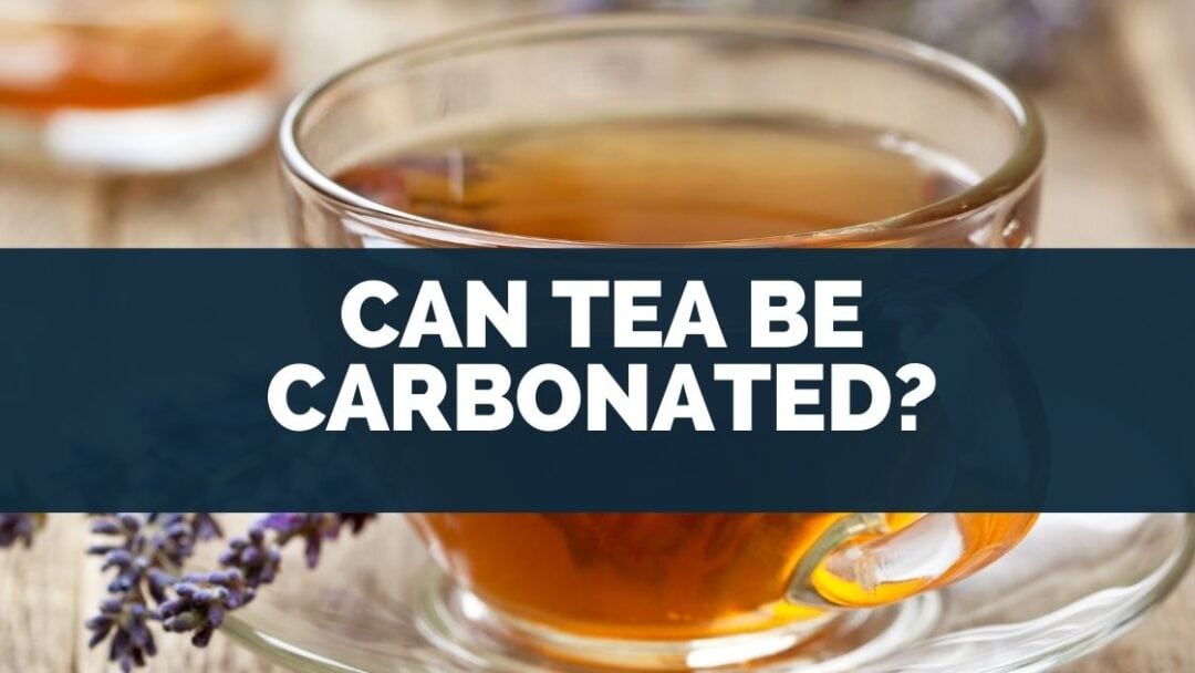 Can You SodaStream Tea? [Make In Sodastream ..]
