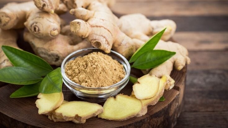 What Is Q Drinks Ginger Ale? [Spicy Mixer]