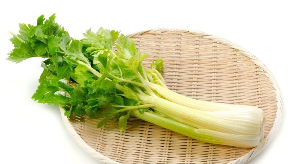 What Does Celery Soda Taste Like