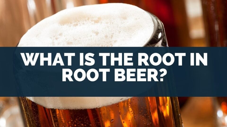 Why Is Root Beer Called Root Beer?