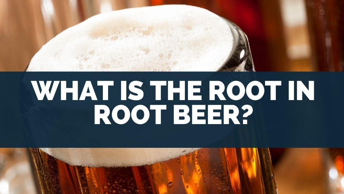 What Is The Root In Root Beer?