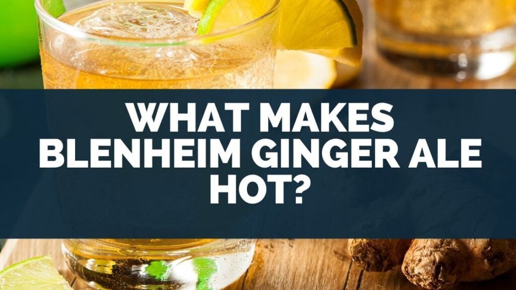 What Makes Blenheim Ginger Ale Hot