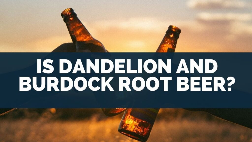 Is Dandelion And Burdock Root Beer