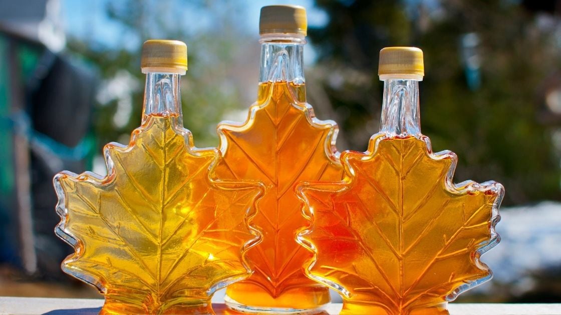 Can You Carbonate Maple Syrup? [Fizzy SAP]