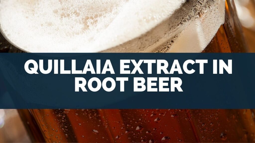 Quillaia Extract In Root Beer
