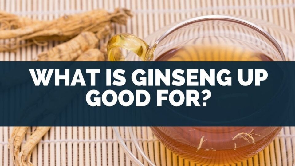 What Is Ginseng Up Good For? [Soda Ingredients]