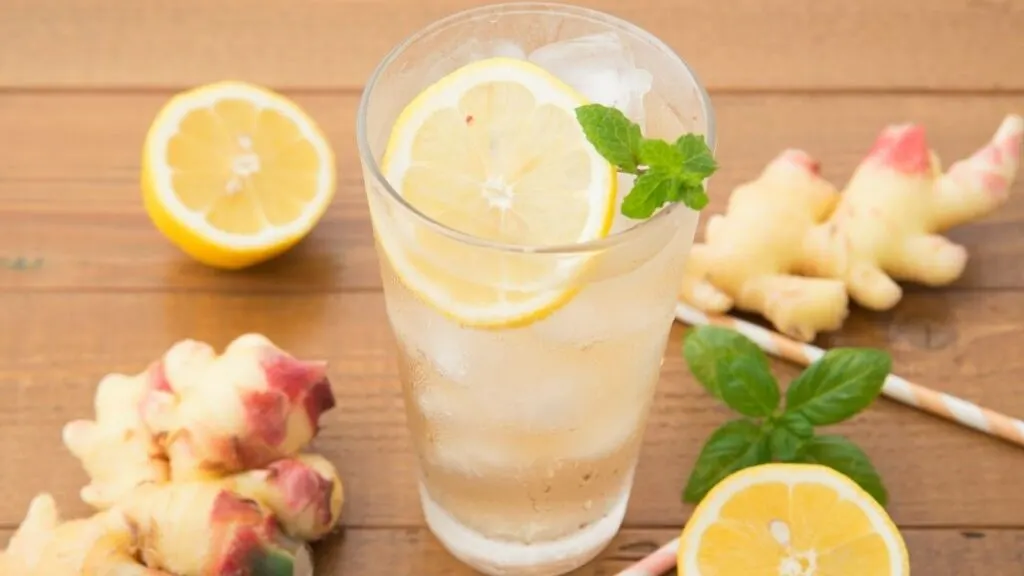 What Is the Difference Between FeverTree Ginger Beer And Ginger Ale