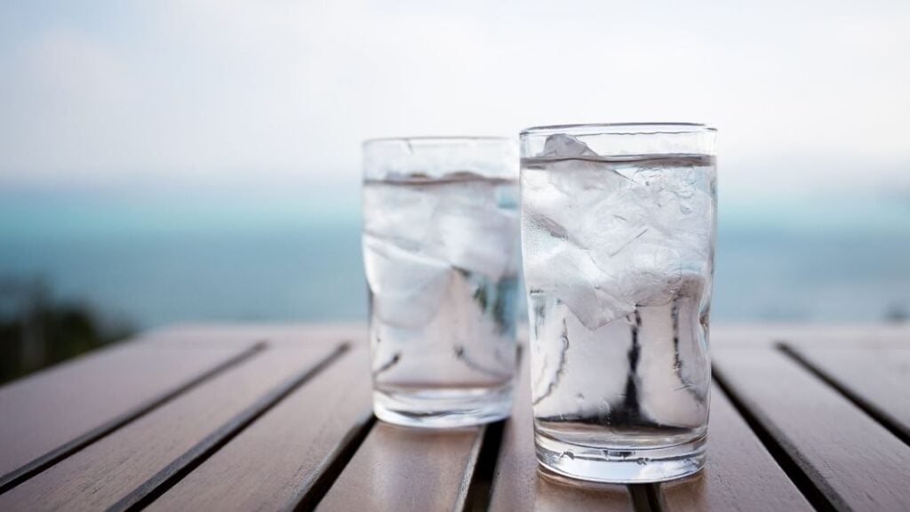 Which Tonic Water Has the Most Quinine