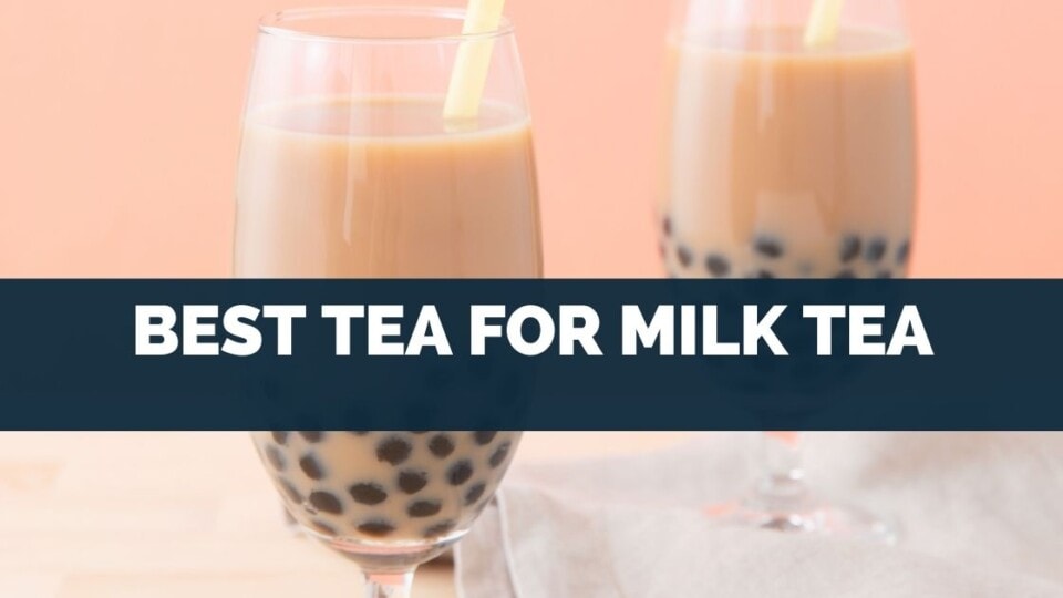 Best Tea For Milk Tea (How To Authentic Bubble Teas)