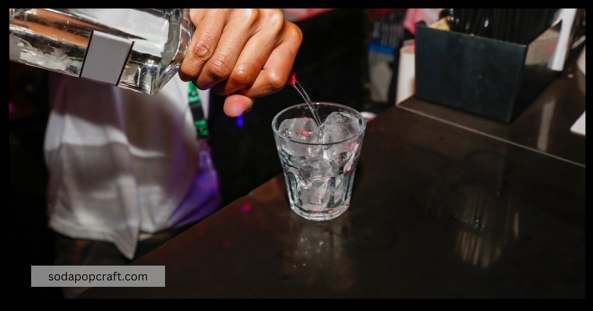 Best Vodka Mixers And Sodas To Mix With Vodka (Popular Cocktail Mix)