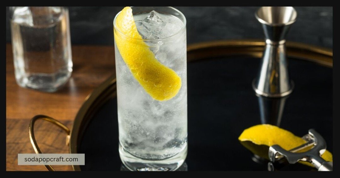 Best Vodka Mixers And Sodas To Mix With Vodka (Popular Cocktail Mix)