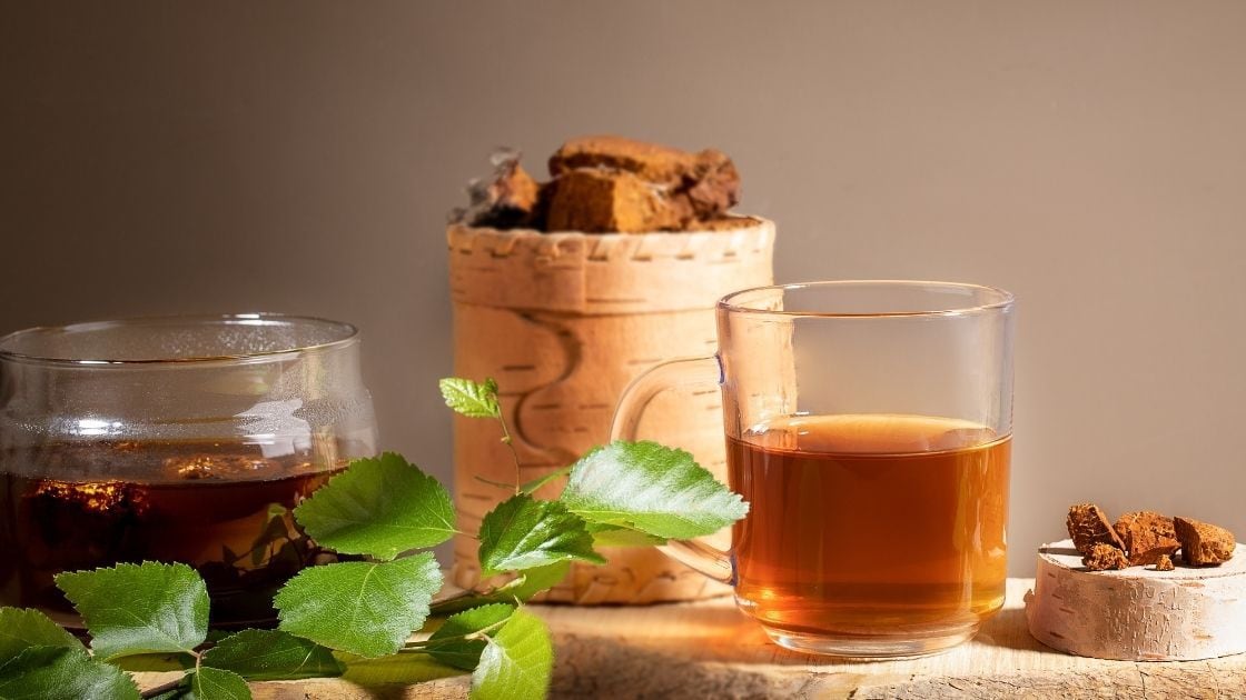 How To Make Magic Mushroom Tea? (HOW To Guide)