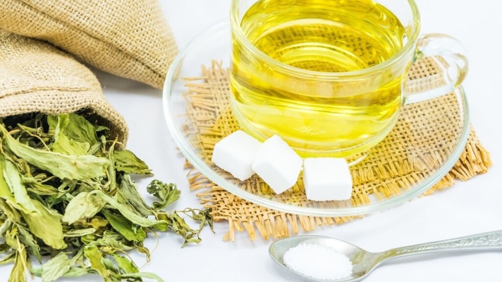 Does Stevia Taste Good in Tea