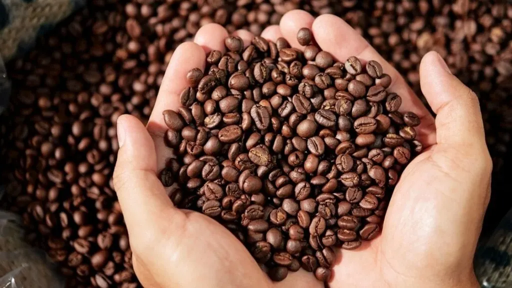 How Do You Know if Coffee Beans Are Bad