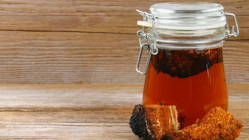 How Do You Make Healthy Mushroom Tea