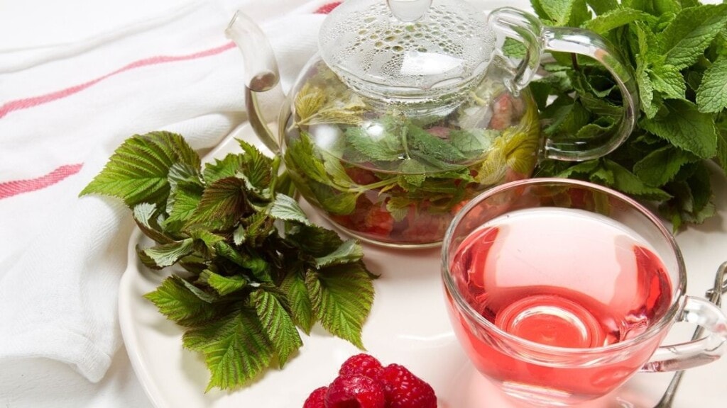 How Much Raspberry Leaf Tea Should I Drink Daily