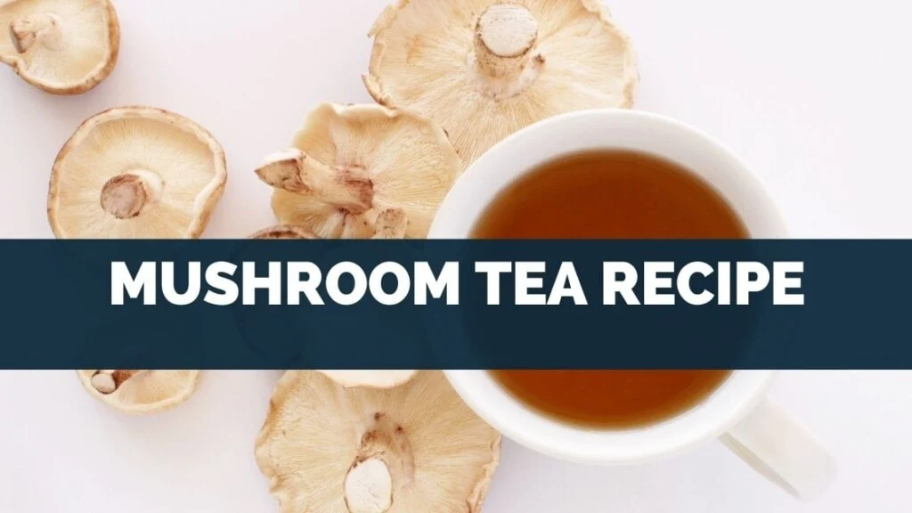 Mushroom Tea Recipe