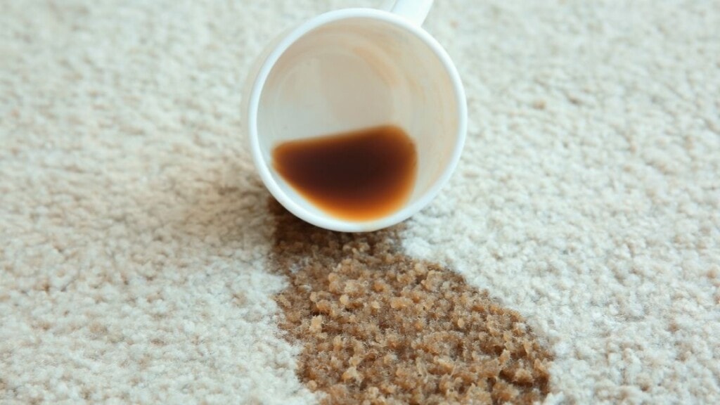 What Takes Coffee Out of Carpets