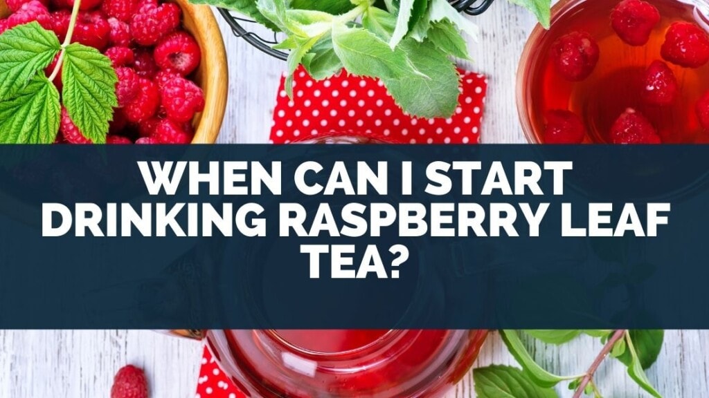When Can I Start Drinking Raspberry Leaf Tea