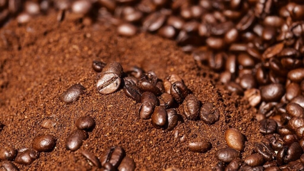 Will Old Coffee Beans Make You Sick
