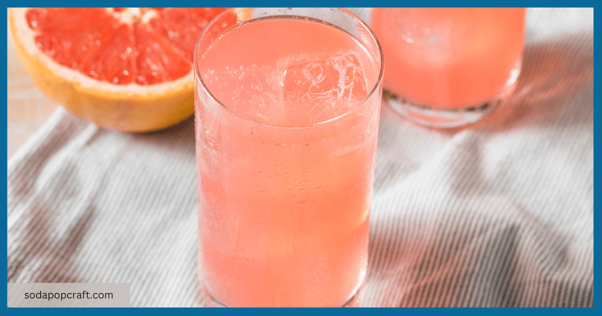 How To Make Flavored Sparkling Water With Sodastream?