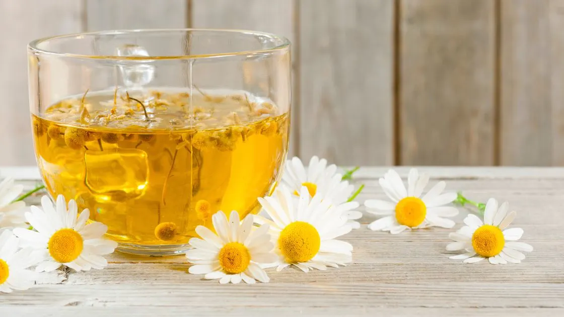 Does Chamomile Tea Expire?