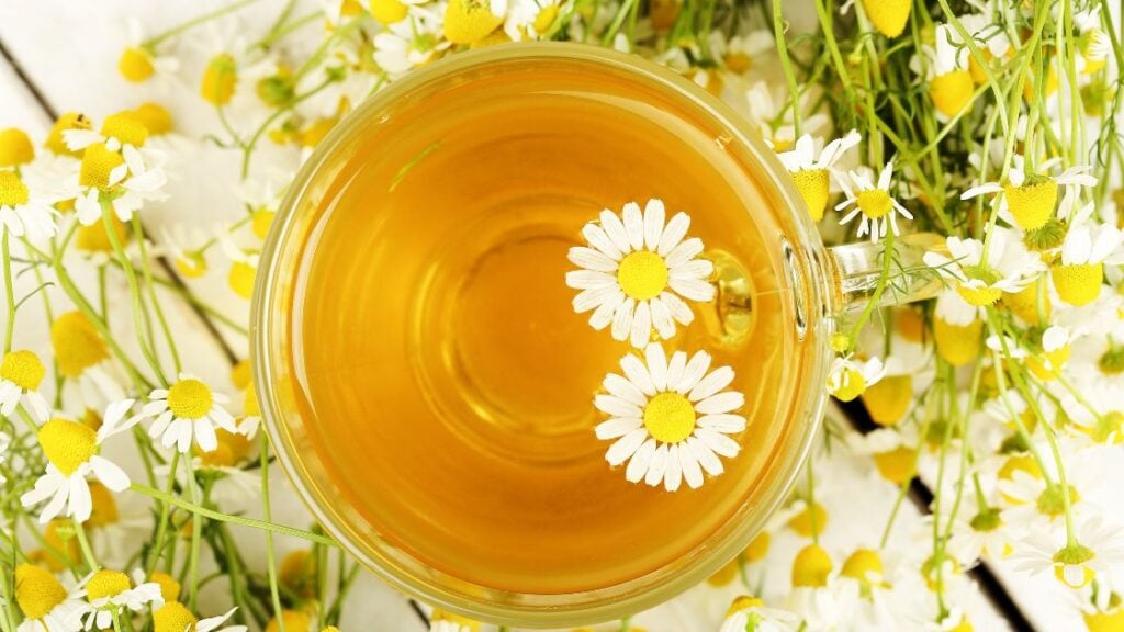Does Chamomile Tea Expire?
