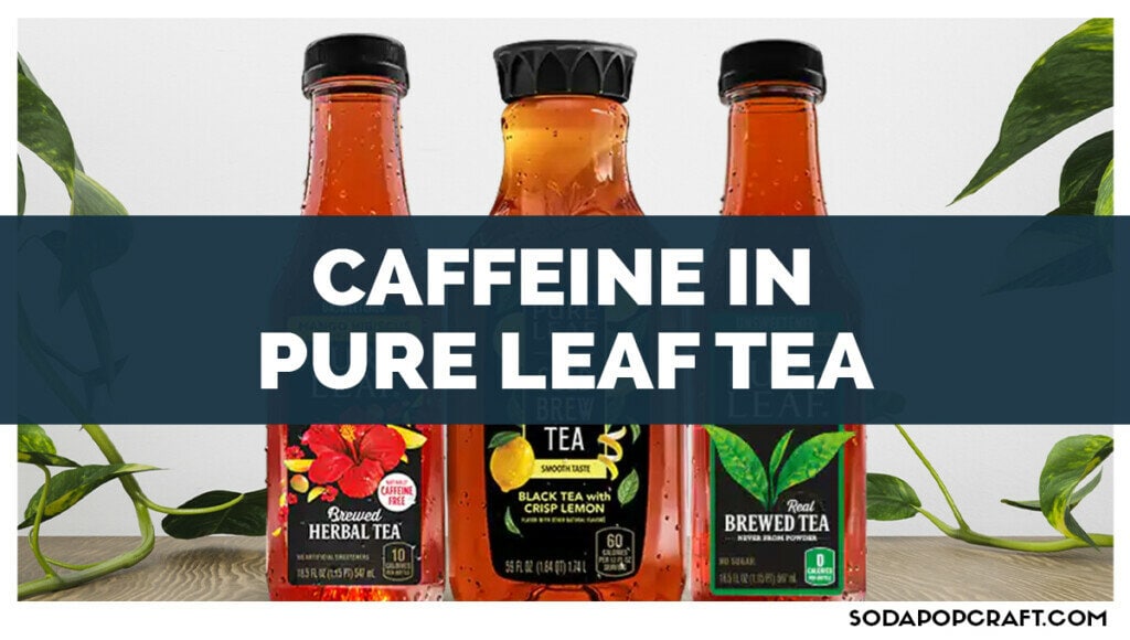 Caffeine In Pure Leaf Tea